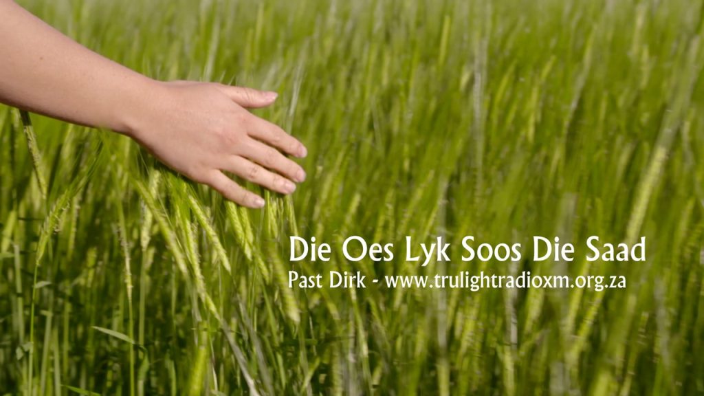 Die Oes Lyk Soos Die Saad Deur Pastoor Dirk